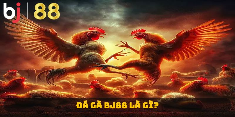 Đá gà BJ88 là gì?