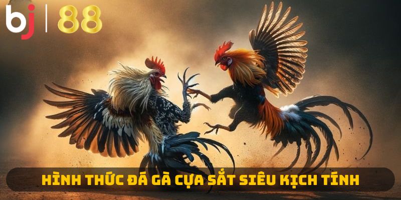 Hình thức đá gà cựa sắt siêu kịch tính 